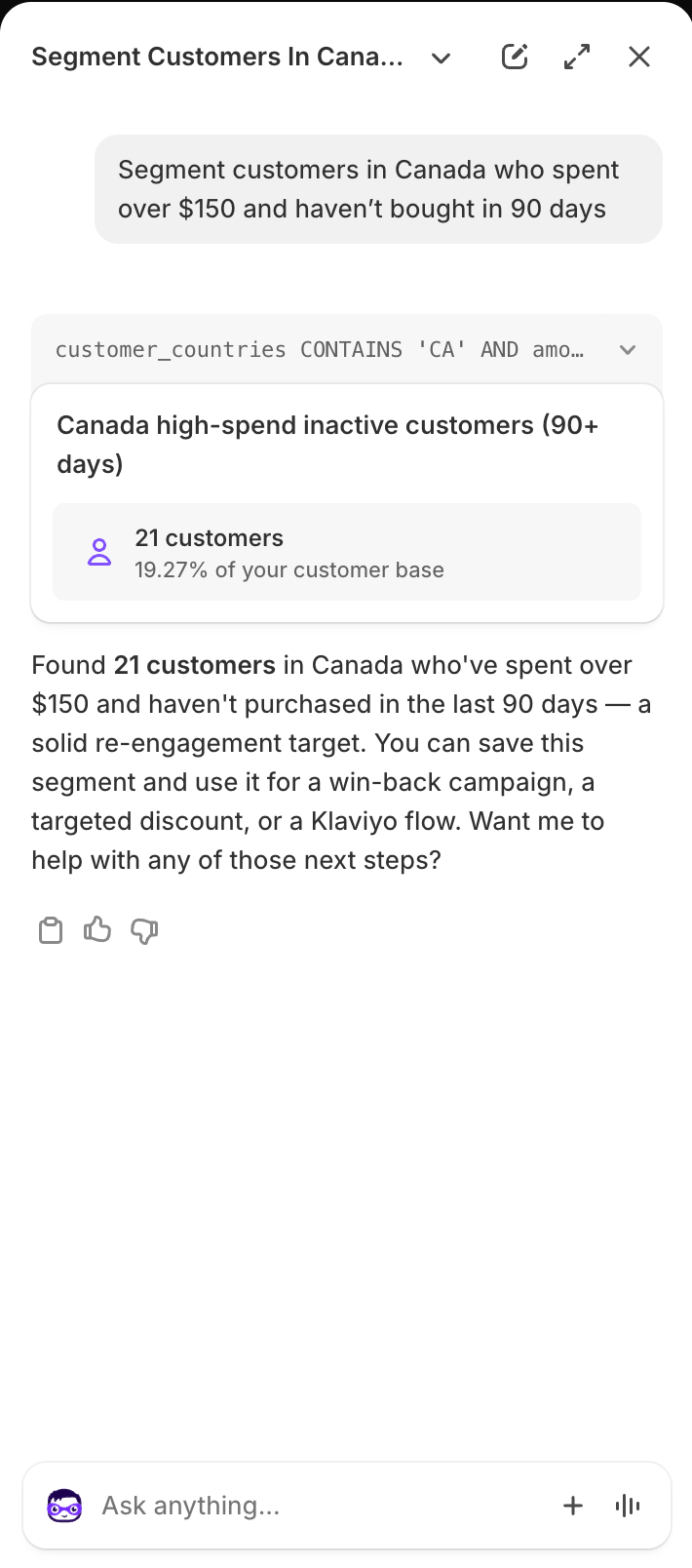 Shopify Sidekick example of interactive customer segmentation.